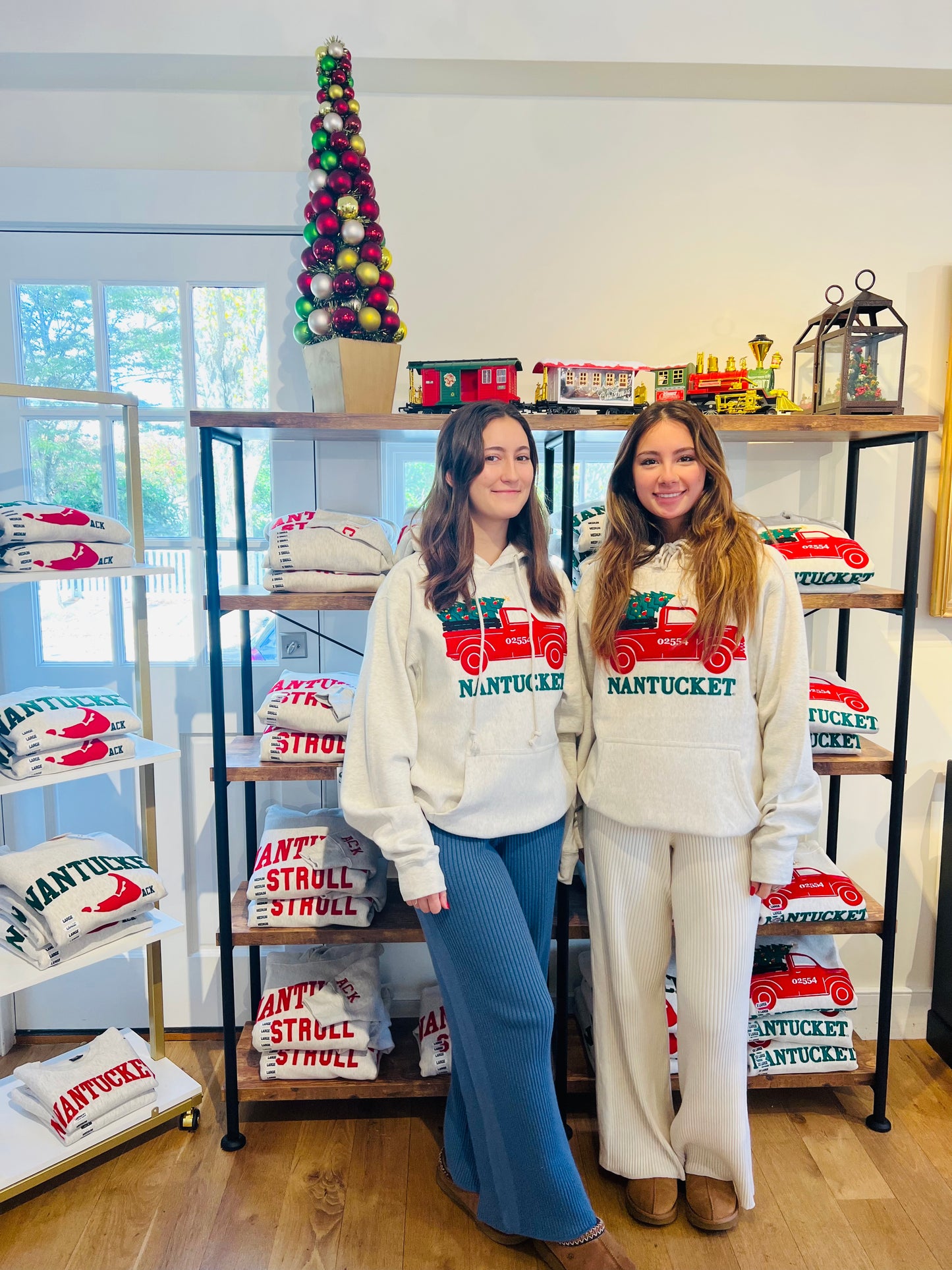 Chistmas Truck Hoodie