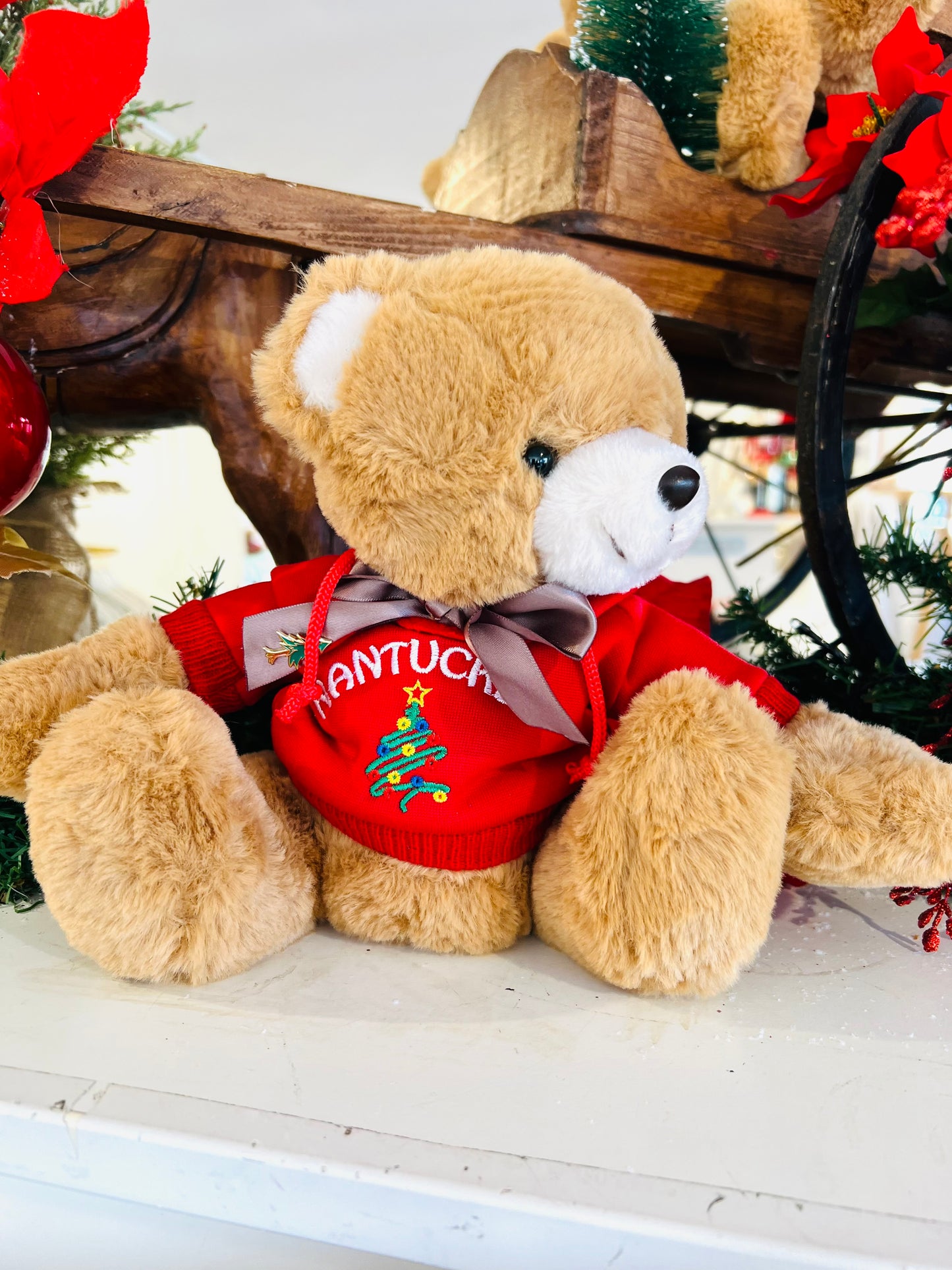 Nantucket Bear With Christmas Tree Hoodie