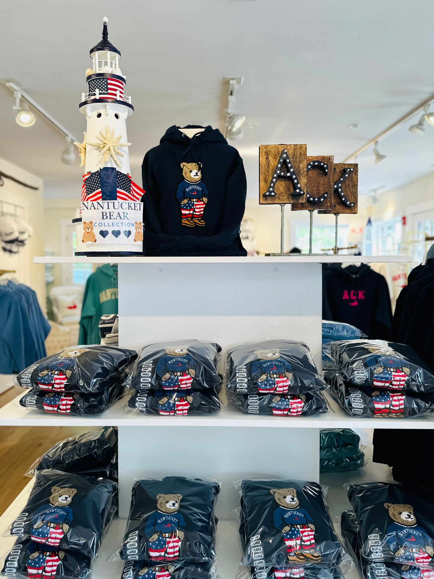 Navy Bear Hoodie with USA Flag Pants