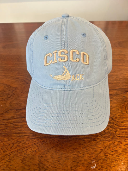 Baby Blue and Tan Cisco Hat