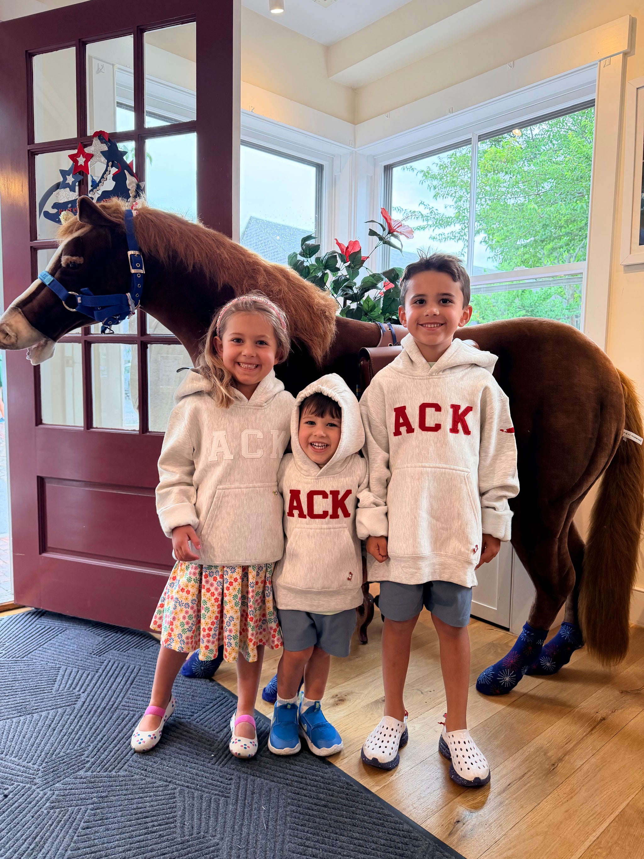 Youth Red ACK Hoodie In Oatmeal – Nantucket Clothing Company