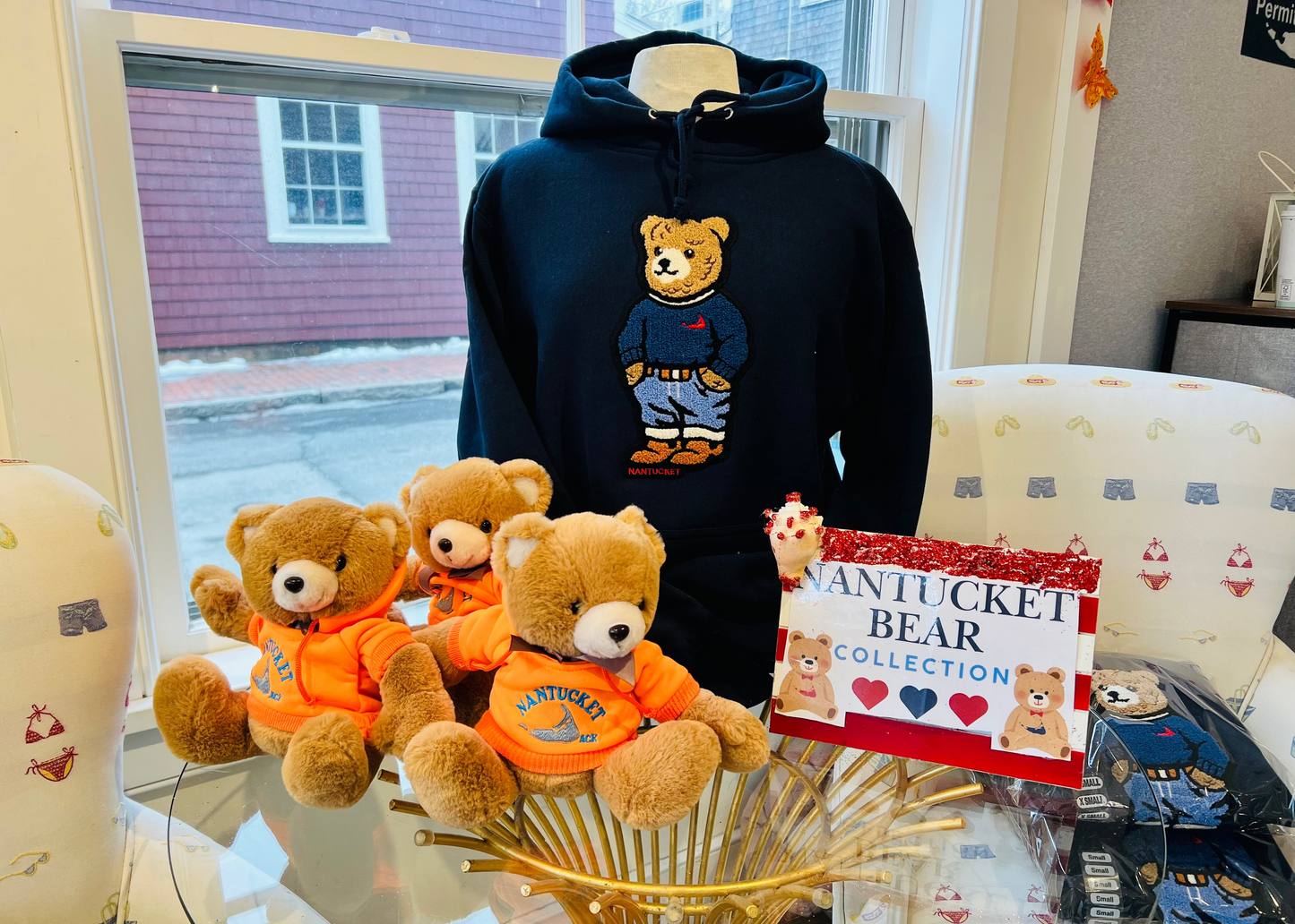 Adult Hooded Sweatshirt Navy Bear Collection