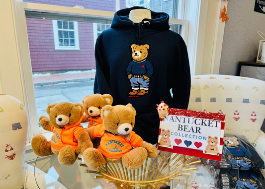 Adult Hooded Sweatshirt Navy Bear Collection