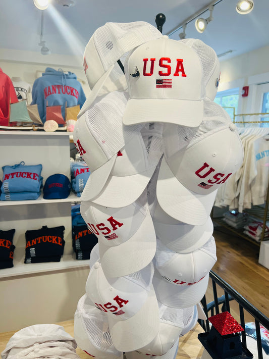 Adult USA Hat in White